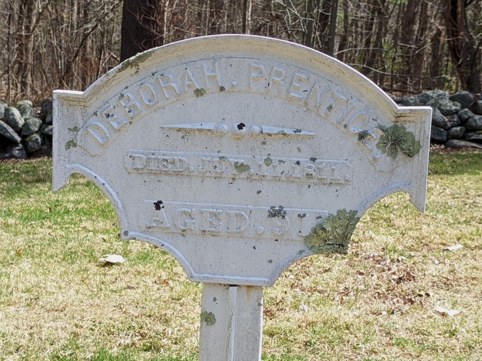 Featured image for “Deborah Prentice”