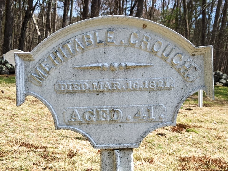 Featured image for “Mehitabel Crouch”