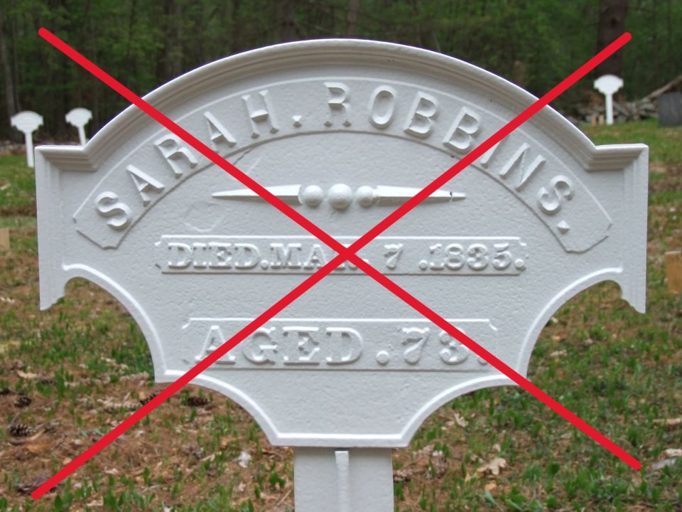 Featured image for “Elizabeth Robinson”