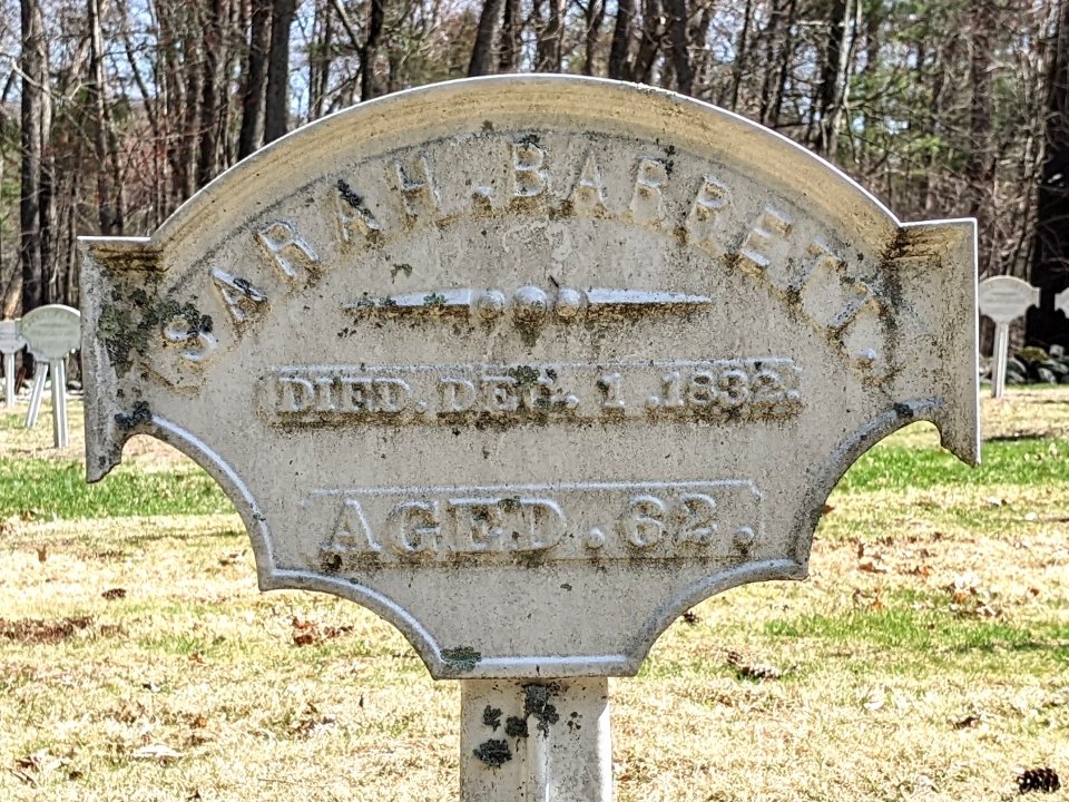 Featured image for “Sarah Salome Barrett”