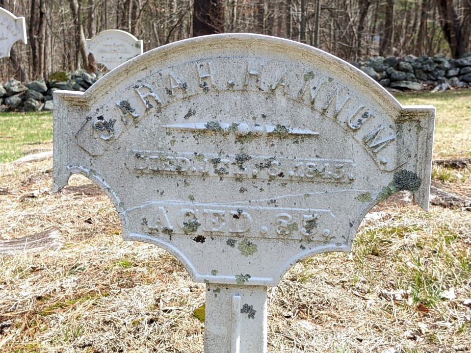 Featured image for “Sarah “Lucy” Hanum”