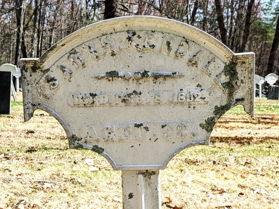 Featured image for “Sarah Kendall”